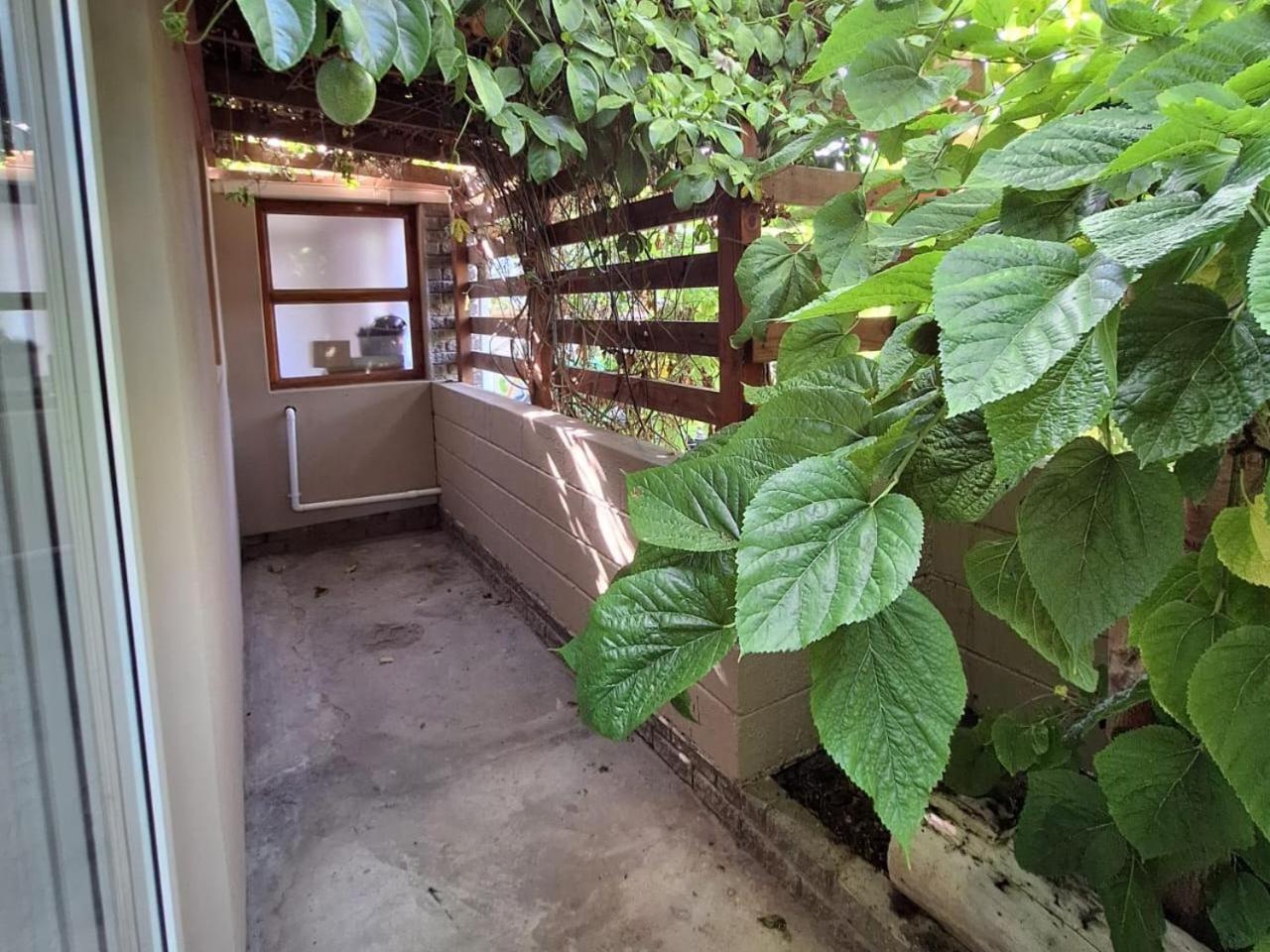 Wild Eden Self-Catering Accommodation Swakopmund Chambre photo